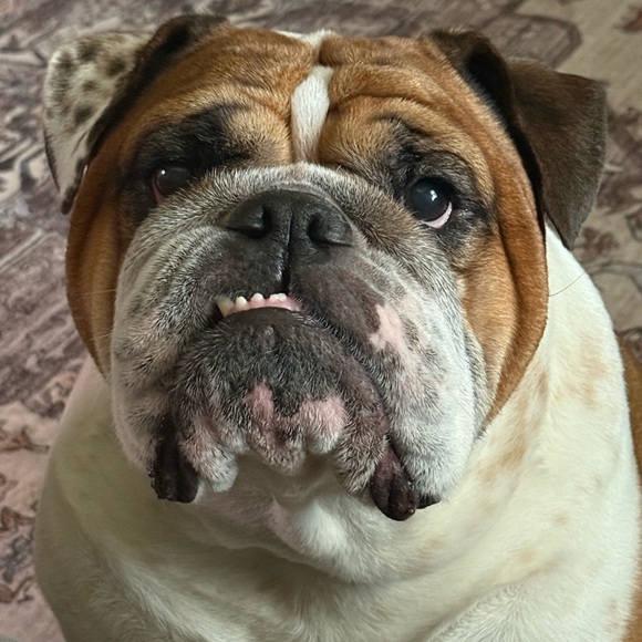 Extra shipping label - Picture 1 of 1